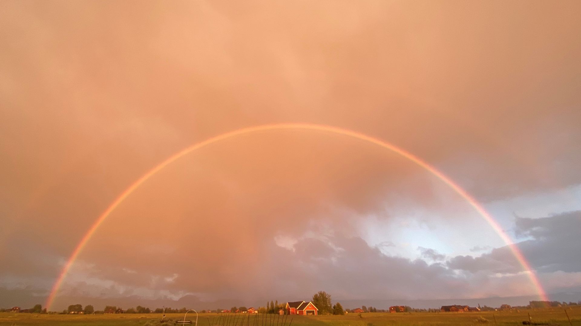 Rainbow